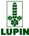 Lupin